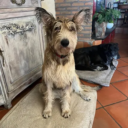 Prázdninový dům Domaine Castelsec